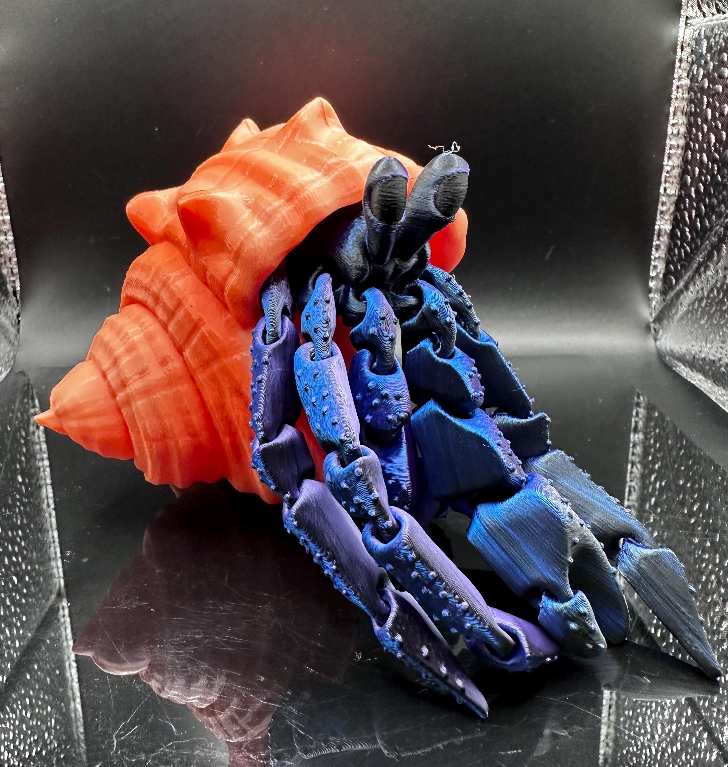 HERMIT SHELL おもちゃ 3D Printed Articulating Hermit Crab With Shell - Etsy