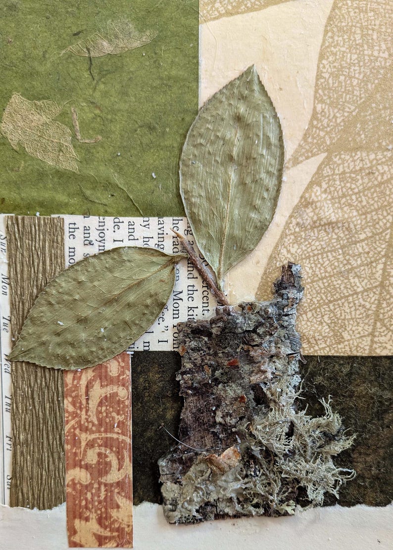 Botanical Collage Art Featuring Real Pressed Camellia Leaves, Birch ...