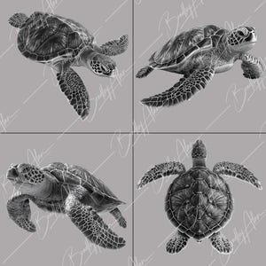 Sea Turtle Laser Engraving PNG Bundle - 4 Realistic Turtle Designs for Diode & CO2 Laser - Digital Download Xtool, Glowforge, lightburn, CNC