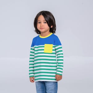 Organic Cotton Baby, Toddlers, Kids Long Sleeve T-Shirt: Color Block Stripe Top