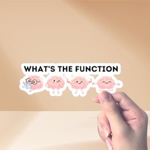 May include: A white sticker with the text "WHAT'S THE FUNCTION" in black. Four cartoon brains with different expressions are shown below the text. The brains are pink with white outlines.