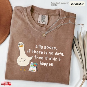 Könnte beinhalten: Ein espressofarbenes T-Shirt mit einer Grafik einer weißen Gans mit Brille neben einem Dokument mit einem bunten Tortendiagramm und Balkendiagramm. Der Text lautet, silly goose, if there is no data, then it didn't happen. Das Shirt hat ein Comfort Colors Etikett.