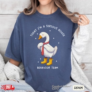 Dummes Gans Behavior Team Comfort Colors® T-Shirt - Heute bin ich eine ernsthafte Gans für BCBA, ABA, RBT, Behaviour Fachmann Abschlussgeschenk