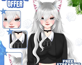 Custom VTuber Model Live2D Commission | Anime Art | Vtuber Assets | Vtuber Model | PNGTuber | Vtuber Male & Female | Vtuber Model Commission
