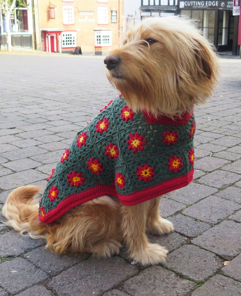 Crochet Dog Coat Pattern Betty's Christmas Sweater Dog Etsy