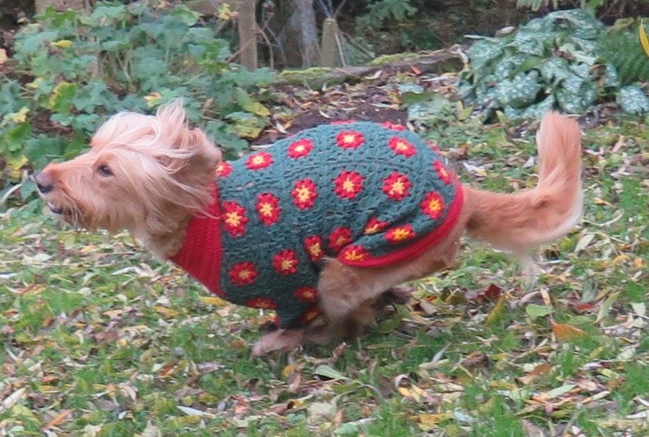Kits & How To Sewing & Fiber Crochet Dog Coat Pattern All Sizes dog