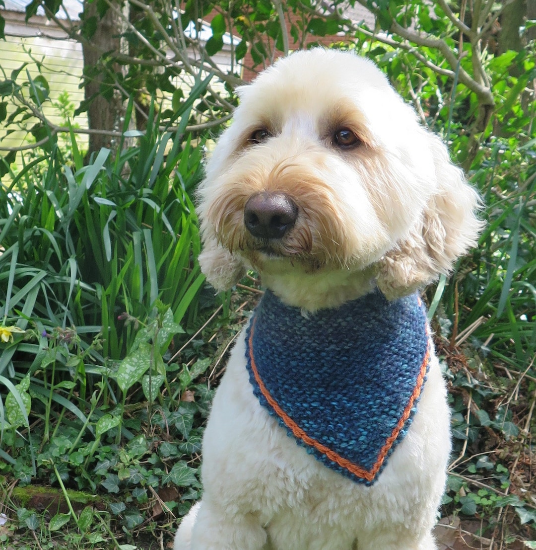 Knitted Dog Bandana Knitting Pattern PDF Knitted Dog Scarf Pattern Etsy