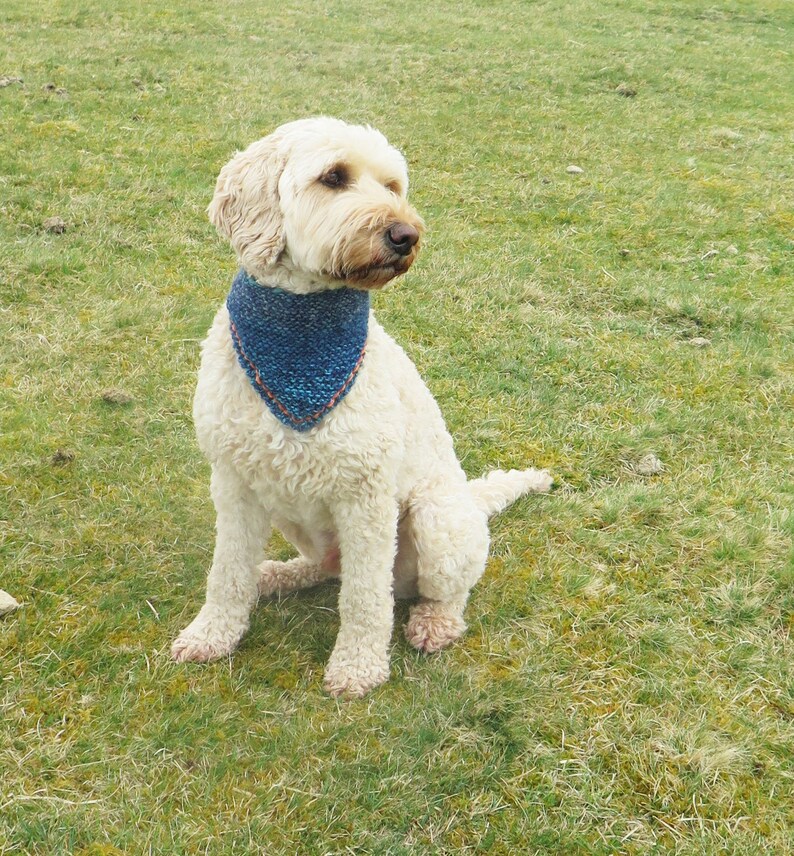 Knitted Dog Bandana Knitting Pattern PDF Knitted Dog Scarf Etsy
