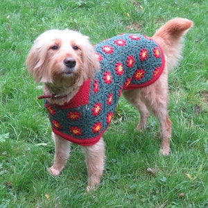 Crochet Dog Coat Pattern, Betty&#39;s Christmas Sweater Dog Coat, Dog Jacket Pattern, All Sizes dog coat pattern PDF, Instant download