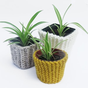 Può includere: Tre piante in vaso con foglie a strisce verdi e bianche. I vasi sono racchiusi in coprivasi lavorati a maglia in grigio, bianco e giallo senape. Le trame accoglienti aggiungono un tocco fatto a mano all'esposizione.
