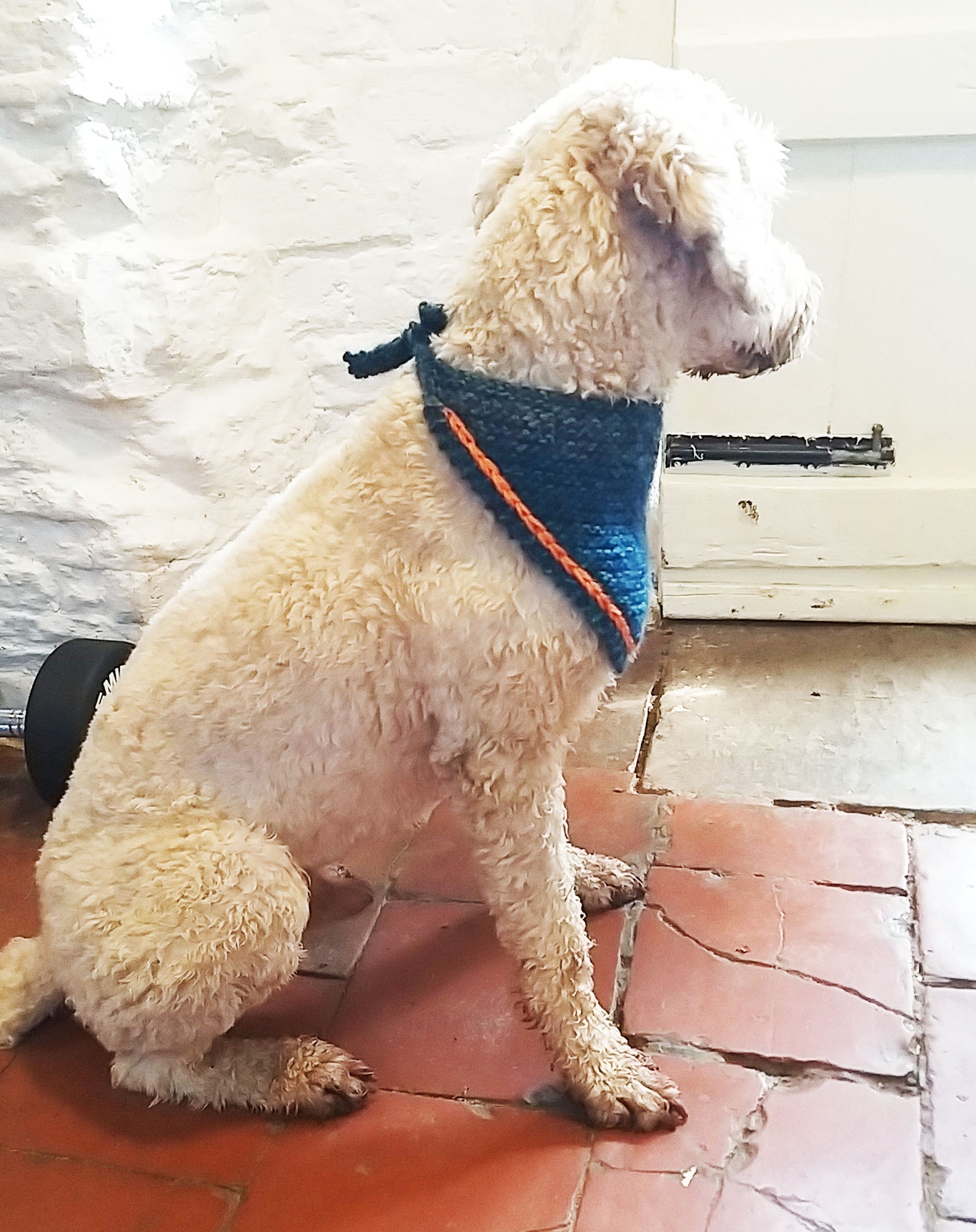 Knitted Dog Bandana Knitting Pattern PDF Knitted Dog Scarf Etsy