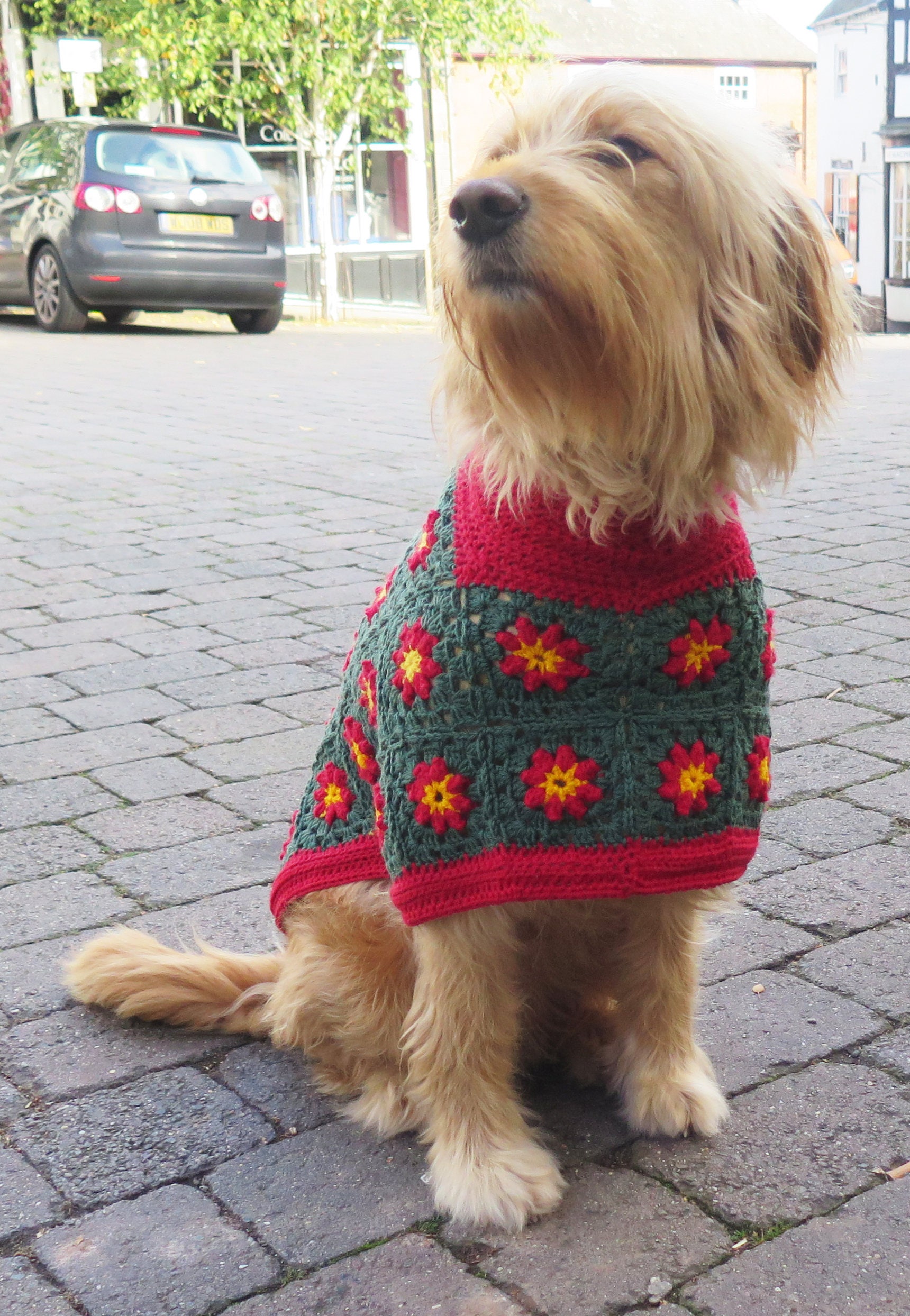 Crochet Dog Coat Pattern Betty's Christmas Sweater Dog Etsy UK