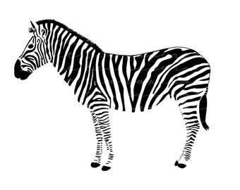 Zebra Clip Art | Etsy