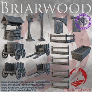 Village Street scatter terrain (Briarwood by DarkRealms) 32mm, 28mm, 15mm Scale