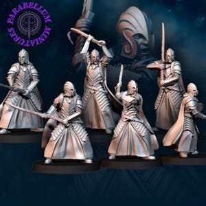 6x Bloody Elf Swordsmen - crest included