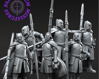 Grey Castle court guards on foot with spear