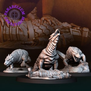 May include: Three unpainted miniature dragon figures. One dragon is roaring, another is crouching, and the third is in a walking position. The miniatures are on a black base. The logo "PARABELLUM MINIATURES" is in the upper left corner.