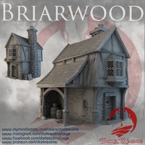 Può includere: Modello in miniatura dettagliato di una casa in stile medievale, etichettato come "Briarwood House 5". Il modello presenta un camino in pietra, travi in legno e un tetto di tegole. Il design include una piccola finestra con un motivo a griglia e una porta in legno.