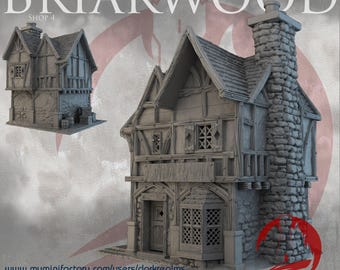 Briarwood Shop 4 by Dark Realms