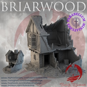 Village House 4 ruins (Briarwood by DarkRealms) 32mm, 28mm, 15mm Scale