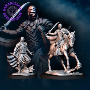 Lord of Bloody High Elves - foot and mounted