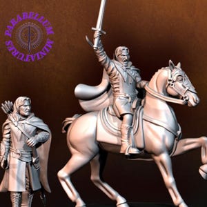 Captain of the Grey Castle foot and mounted