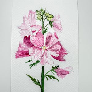 Può includere: Dipinto ad acquerello di un fiore di altea rosa con foglie e stelo verdi. Il fiore ha più strati di petali, con una tonalità rosa più scura alla base. L'opera d'arte è su carta bianca.