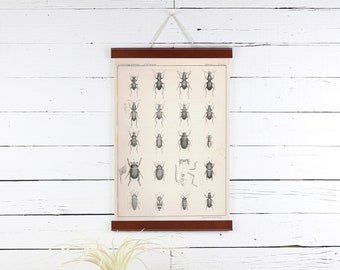 Leather Poster Hanger: Bugs Print, Vintage Style Frame (12 X 18)