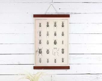 Leather Poster Hanger, Bugs Print, Poster Frame, 12 X 18, Leather Frame, Insects Poster, Frame for Prints, Frames for Posters