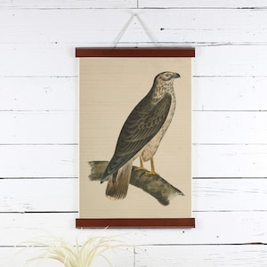 Colgador de póster de cuero, impresión de aves, marco de póster, póster de 12 X 18, marco de cuero, póster de aves, marco para impresiones, marcos para carteles, arte de pared