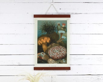 Impresión de anémona de mar con colgador de cuero hecho a mano (30 x 45 cm)