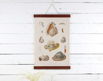 Leather Poster Hanger: Snails Print, Vintage Style Frame (12 X 18)
