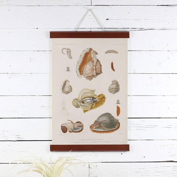 Leather Poster Hanger, Snails Print, Poster Frame, 12 X 18, Leather Frame, Snails Poster, Frame for Prints, Frames for Posters