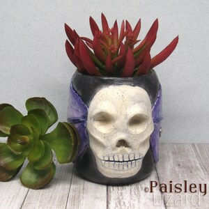 May include: A ceramic skull planter with a purple flower design and a succulent plant inside. The planter is painted white with black accents and has a detailed skull face.