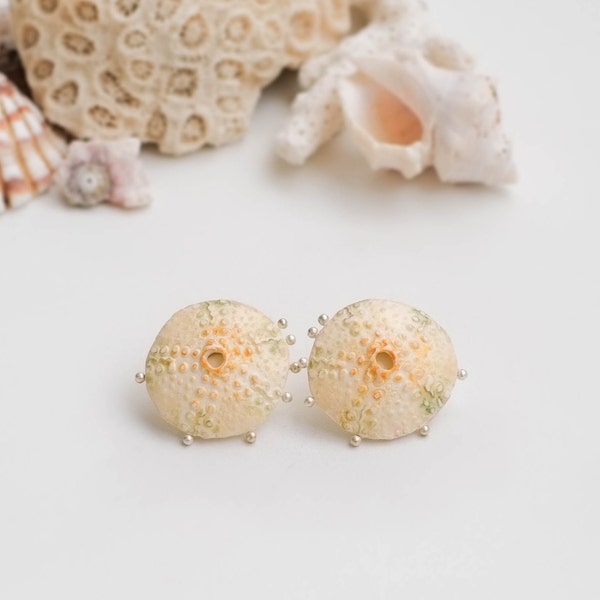 Ivory stud earrings / Polymer clay stud earrings / Ivory post earrings / Sea urchin earrings / Sea shell studs