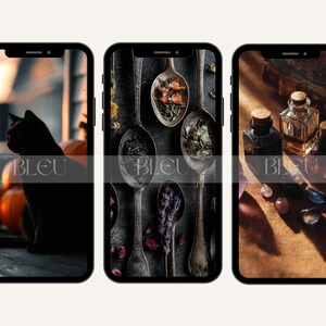 Moody Witch Aesthetic Stock Photos Dark Witchcore Stock Photos Moody Halloween Aesthetic Photos Mystical Halloween Images Witchy Life Photos
Halloween photos witchy aesthetic moody witch photos witchcore stock mystical photos autumn witchcraft spooky aesthetic witchcraft photos dark aesthetic witch aesthetic witch halloween stock photos goth aesthetic
