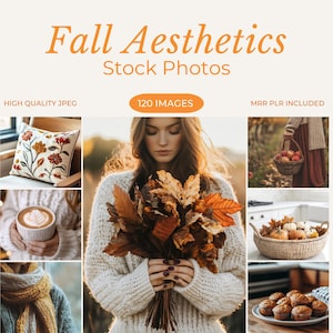 Cozy Fall Aesthetic Stock Photos Autumn Aesthetic Stock Photos Aesthetic Faceless Stock Photos Fall Season Aesthetic Stock Photos cozy fall aesthetic stock photos autumn aesthetic stock photos faceless marketing stock photos fall season aesthetic