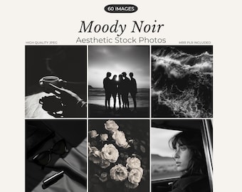 Moody Noir Aesthetic Stock Photos Black & White Minimalist Stock Images Dark Luxury Photography Vintage Cinematic Stock Photos Social Media