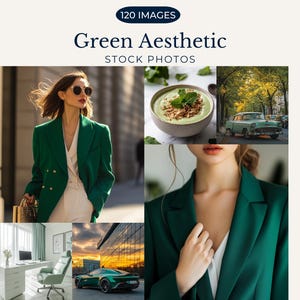 Green Aesthetic Stock Photos for Instagram Reels Cover Photo Faceless Marketing Green Aesthetic Stock Photos PLR MRR Green Aesthetic Photos