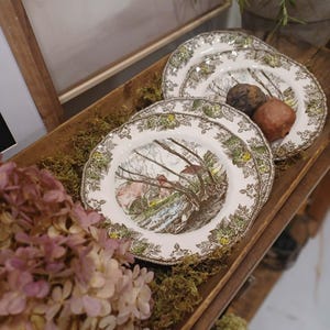 Puede incluir: Juego de platos decorativos con una escena de paisaje. Los platos tienen un fondo crema con un borde marrón y verde. Se disponen en una bandeja de madera con musgo y fruta seca.