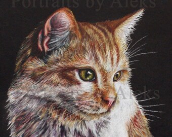 Colored Pencil Tiger Cat Drawing