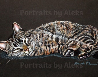 Colored Pencil Resting Tabby Cat Drawing