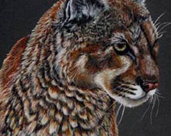 Mountain lion art | Etsy