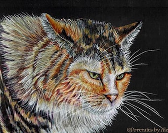 Colored Pencil Long Haired Calico Cat Drawing