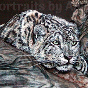 Buntstifte Schnee Leopard Zeichnung