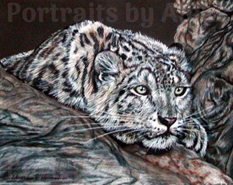 Colored Pencil Snow Leopard Drawing