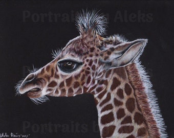 Colored Pencil Giraffe Calf Drawing