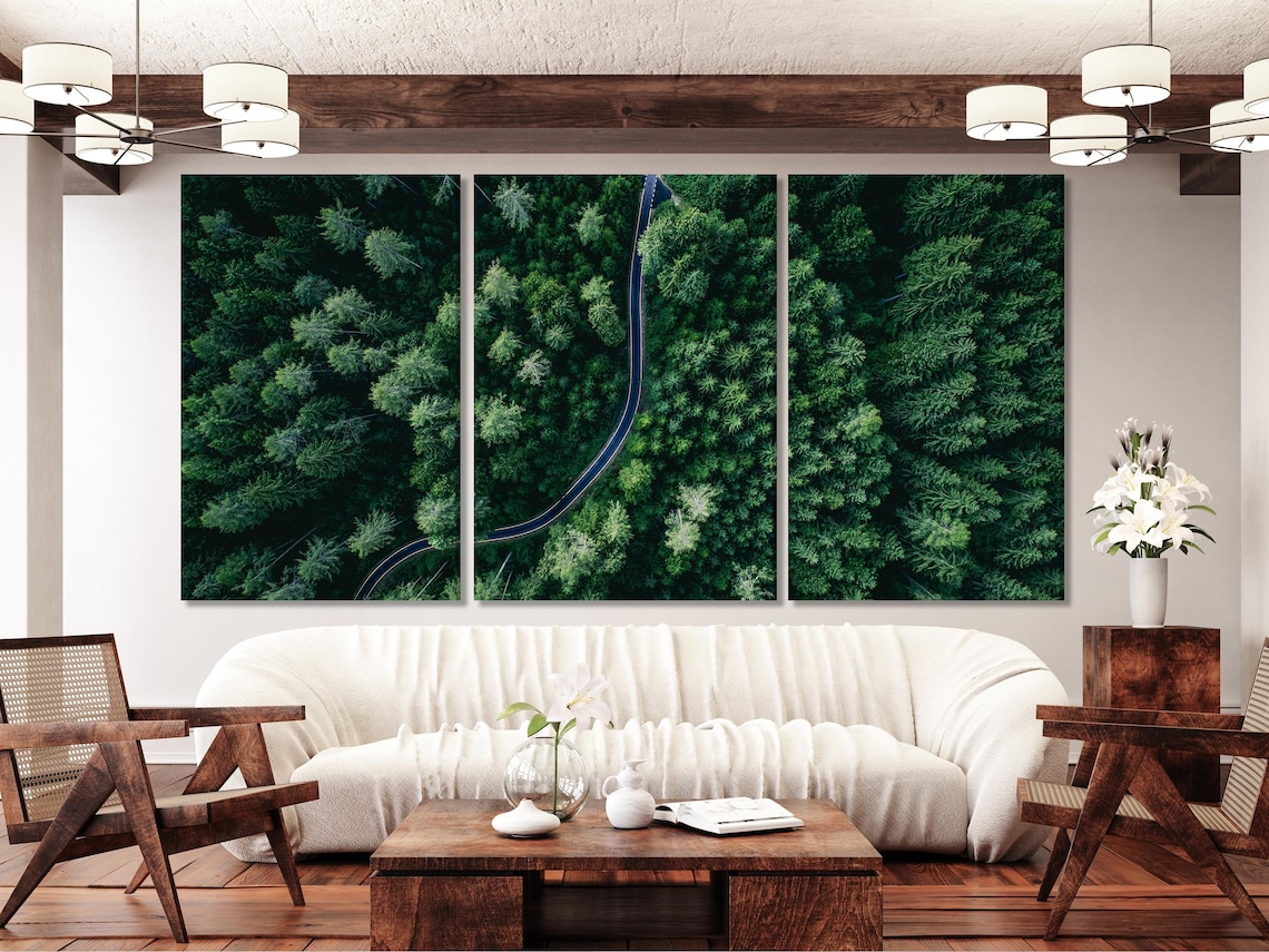 Aerial view of a dense evergreen forest with a winding road cutting through the treetops detail view