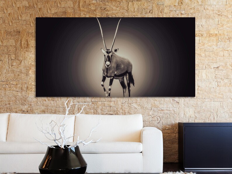 May include: A black and white photograph of an oryx, an antelope with long, straight horns, standing in a spotlight against a dark background.