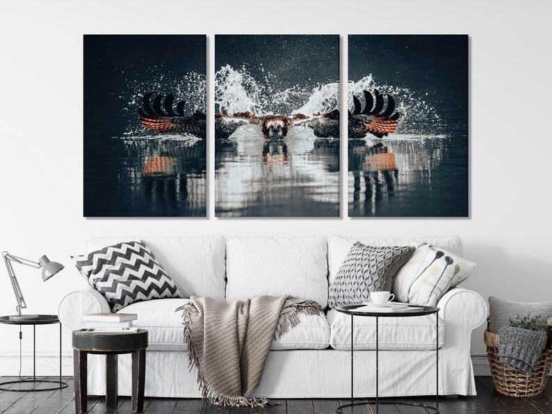 Three-panel wildlife photo showing an osprey diving toward water with bright splashes